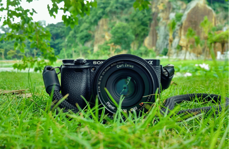 Top Cameras for Photography 2024 | RoamWorld