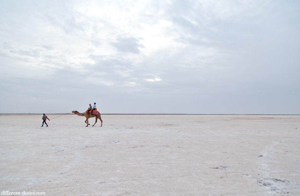 Discover the best places to visit in Kutch India, including prices, distances from the airport, nearby places, and the best foods to try. Your ultimate guide to exploring Kutch's unique landscapes, vibrant culture, and culinary delights!