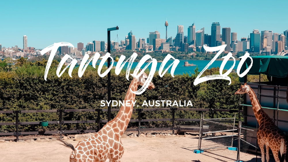 Places to Visit in Sydney