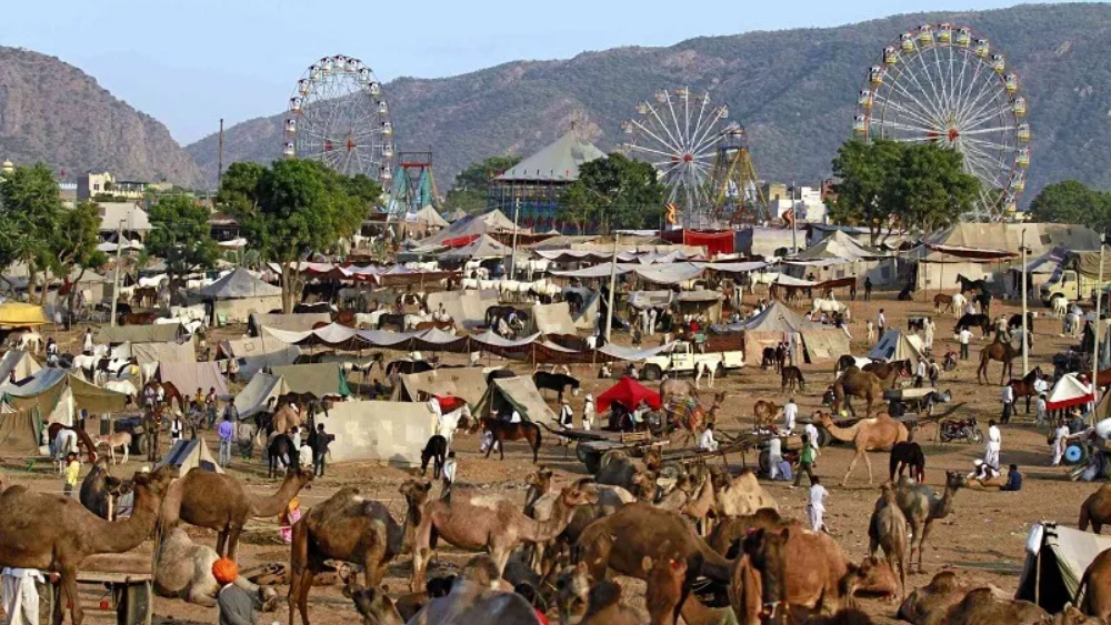 pushkar